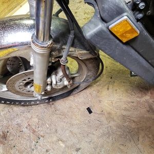 Meet your Posher, Bruce